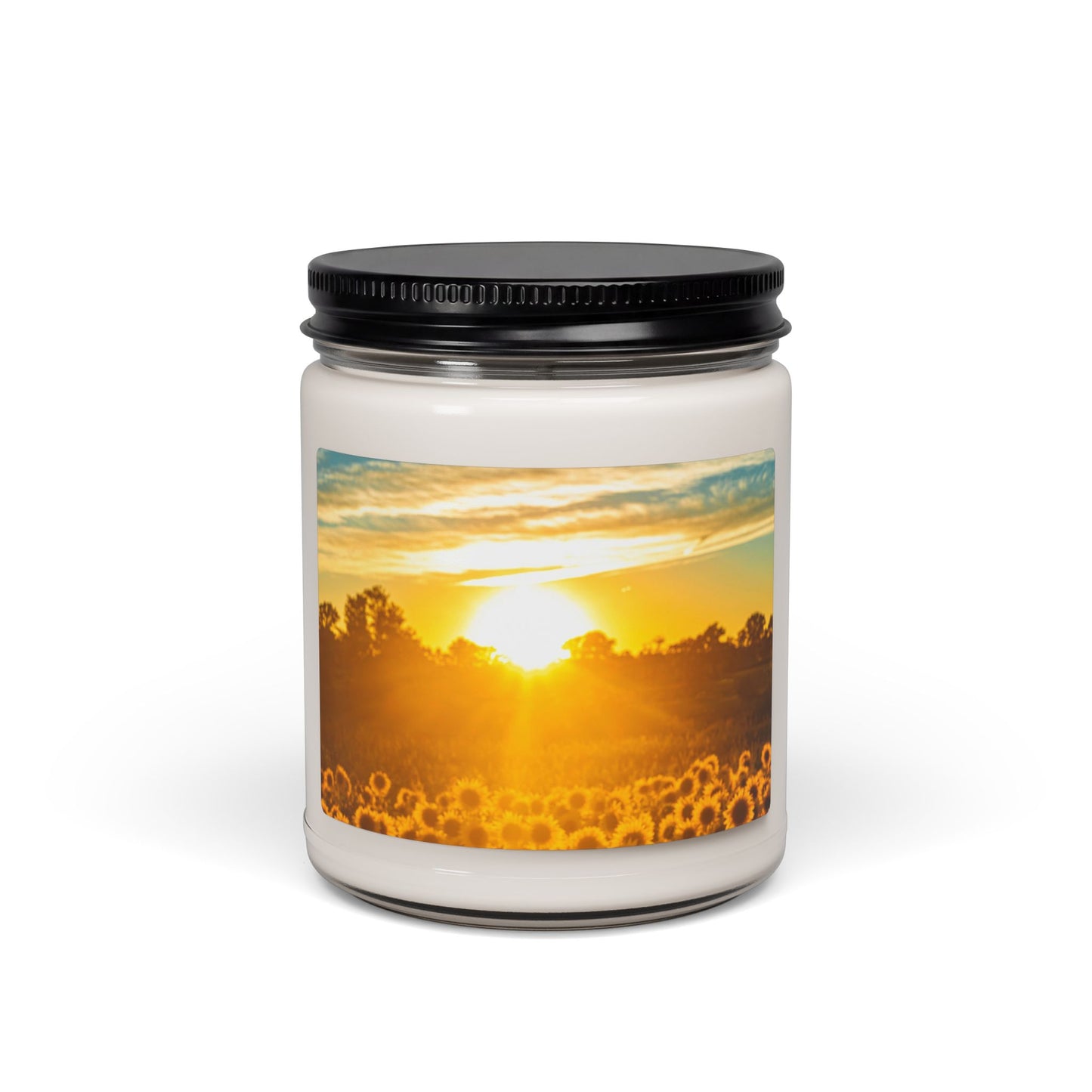 Sunrise Field Soy Candle — 9oz Scented Jar (Warm Citrus & Meadow Notes)
